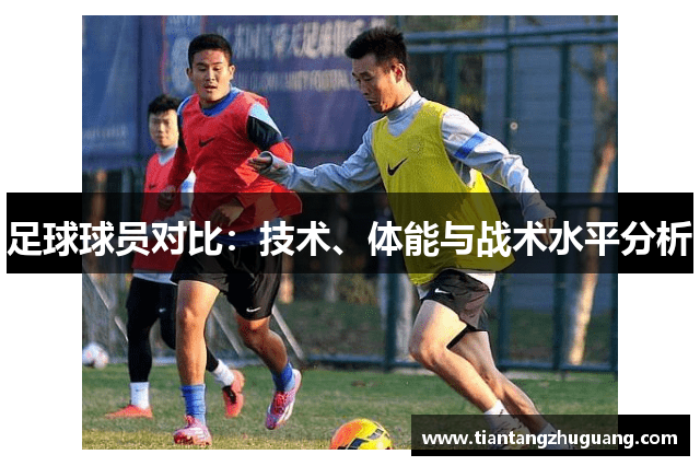 足球球员对比：技术、体能与战术水平分析