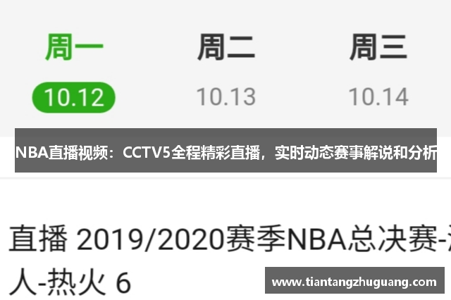 NBA直播视频：CCTV5全程精彩直播，实时动态赛事解说和分析