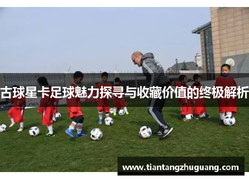 古球星卡足球魅力探寻与收藏价值的终极解析